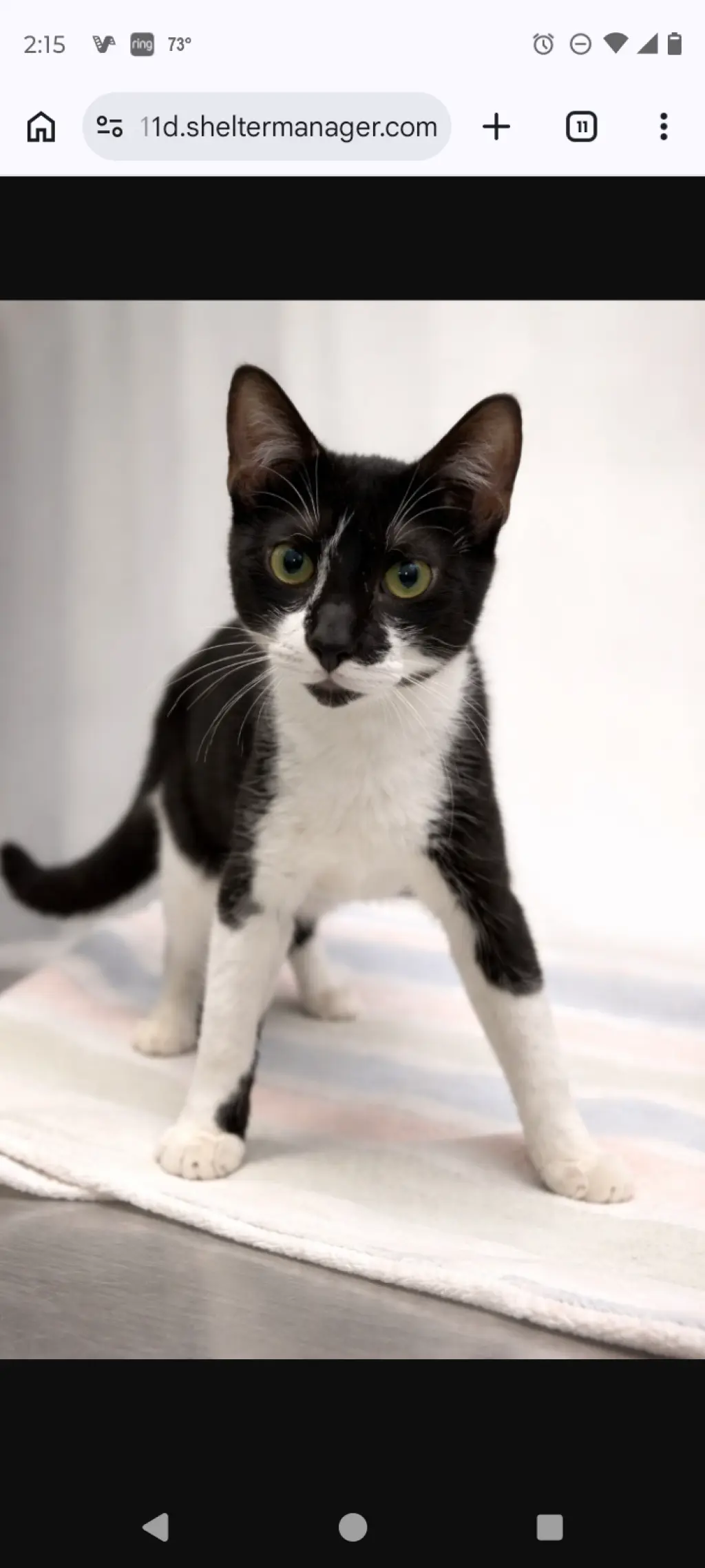 Billy Special needs CH