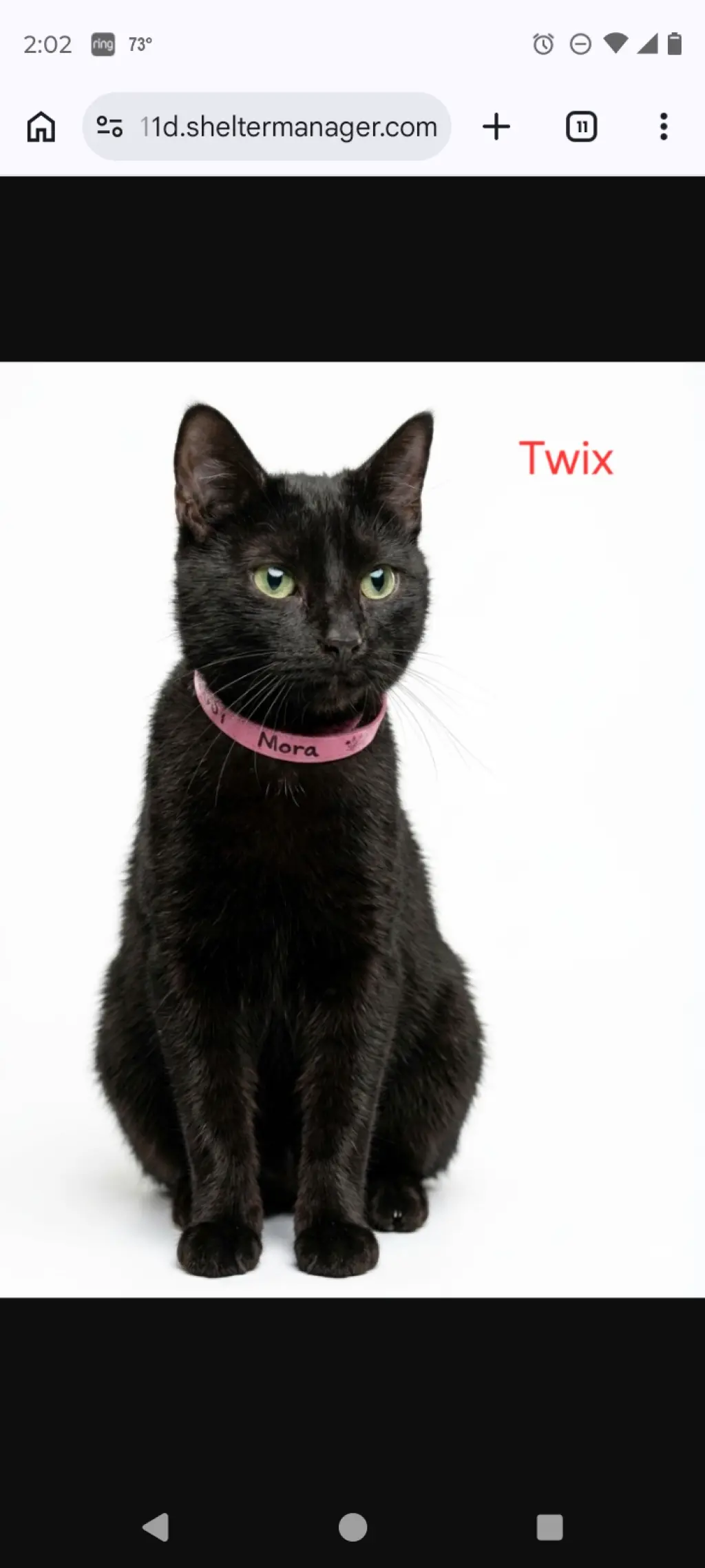 Mama Trix