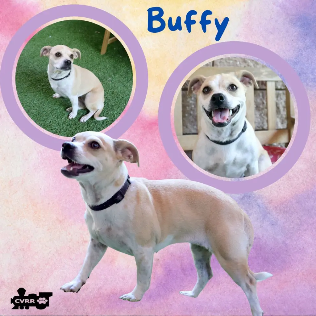 Buffy