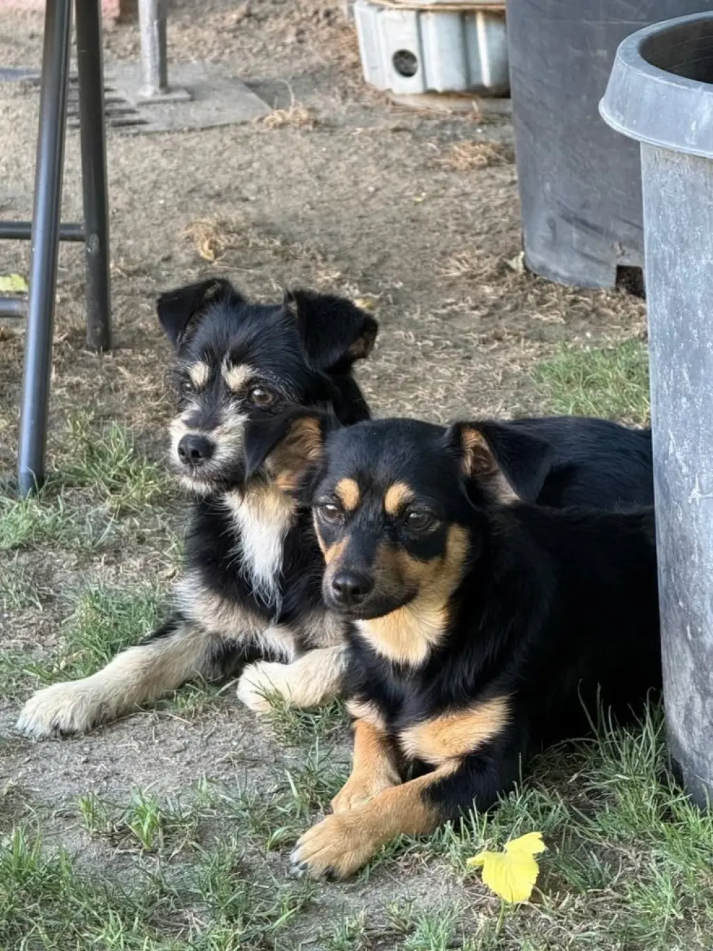 Winnie & Penny