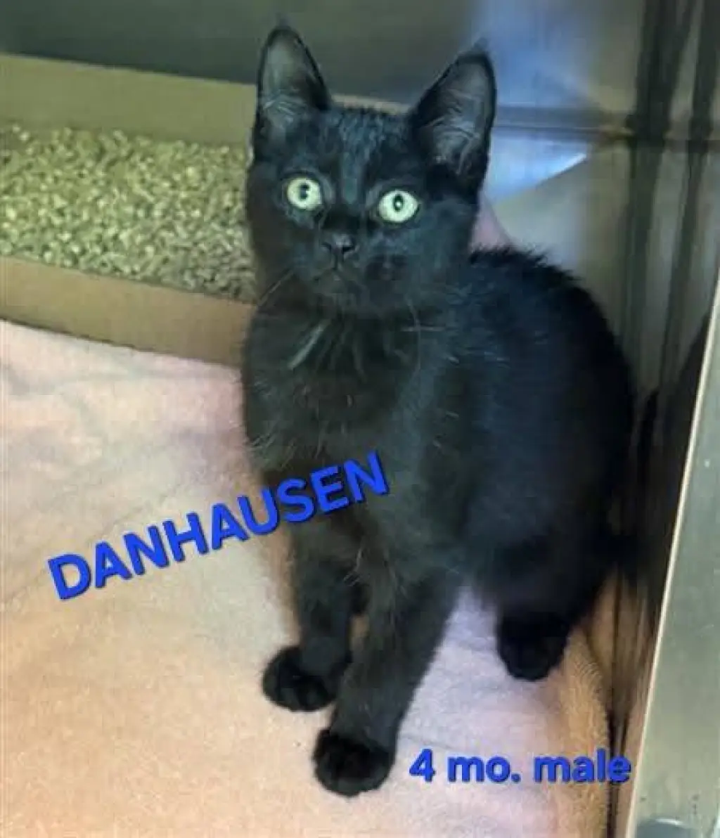 DANHAUSEN
