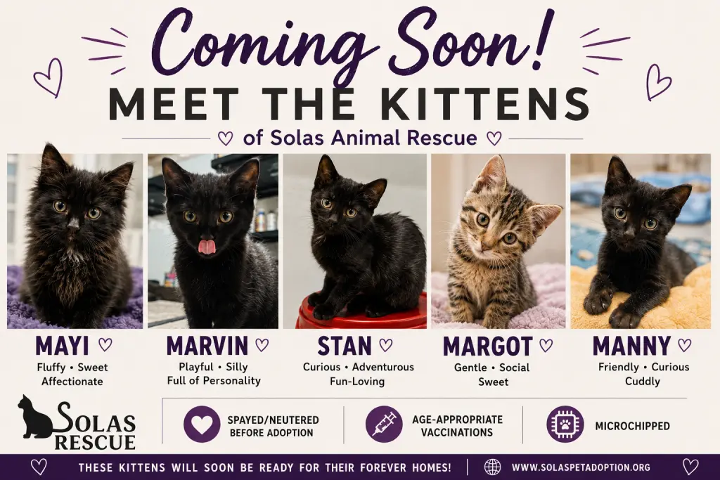 The "M" Kitten crew