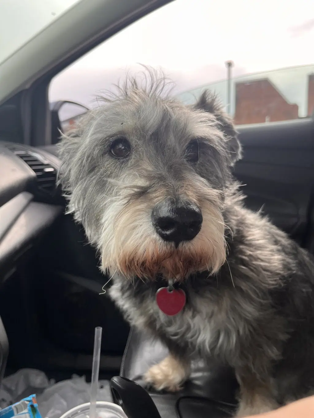 Oscar