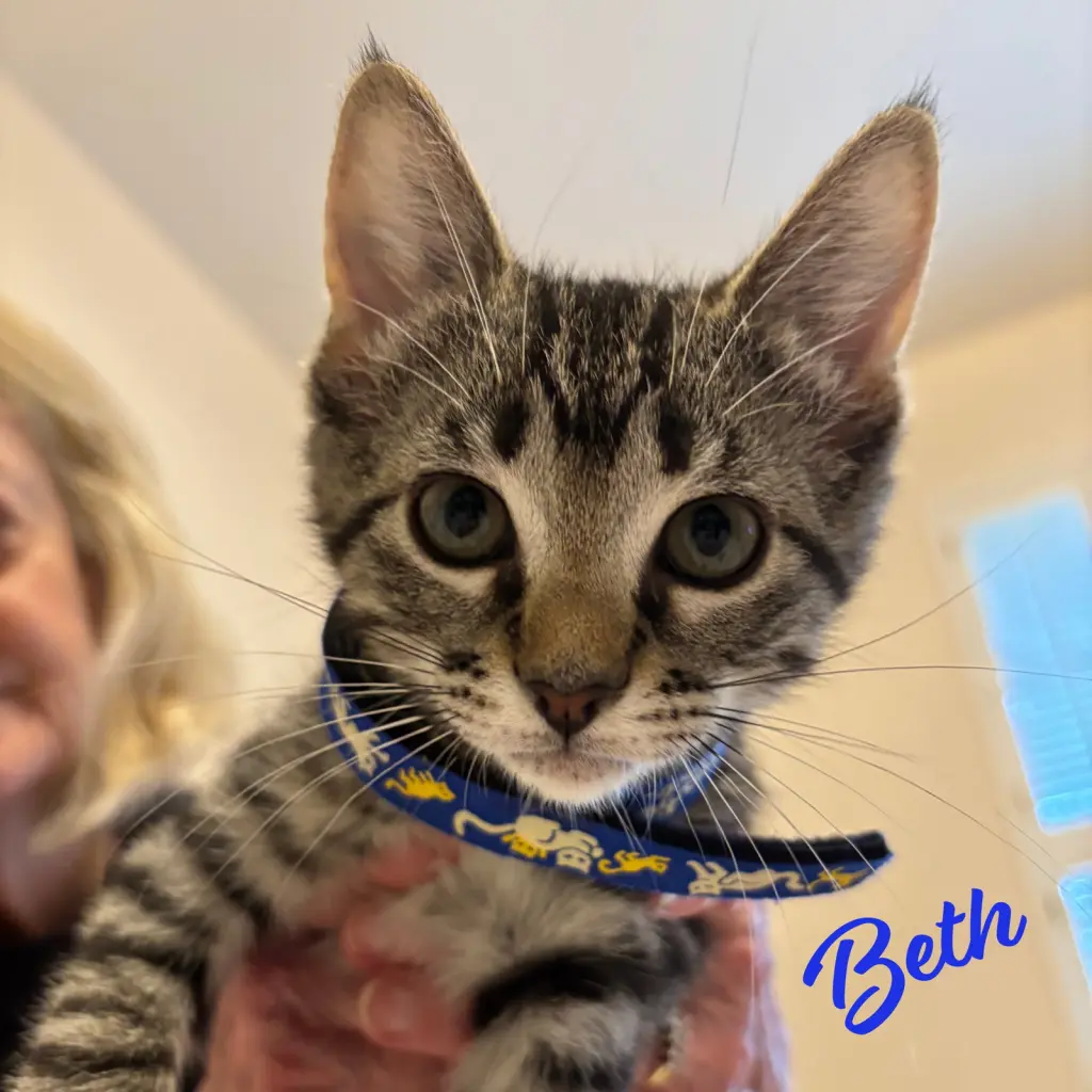 Beth #Little-Women-litter