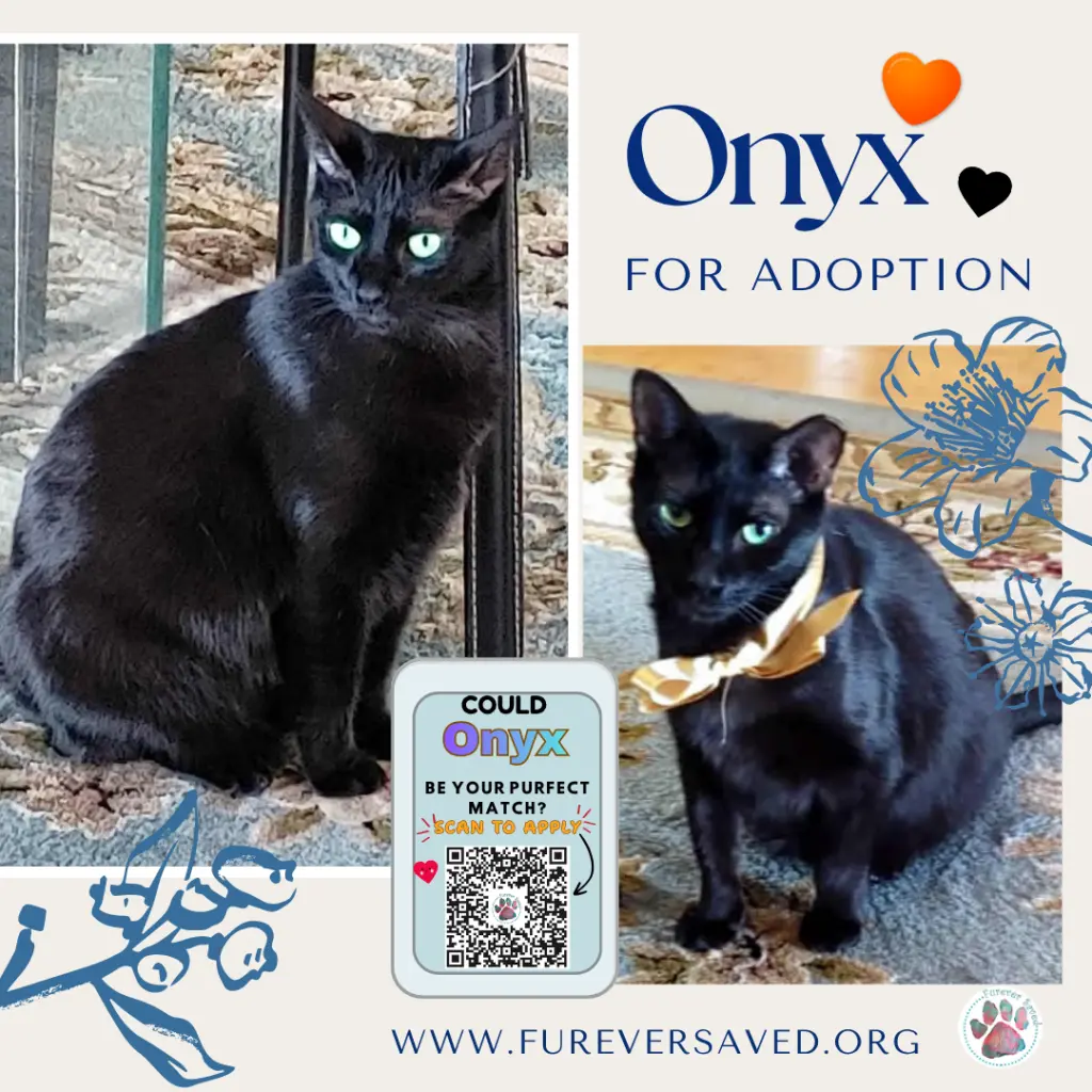 Onyx