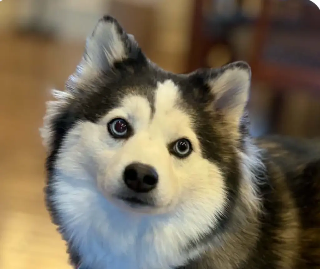 Maggie
