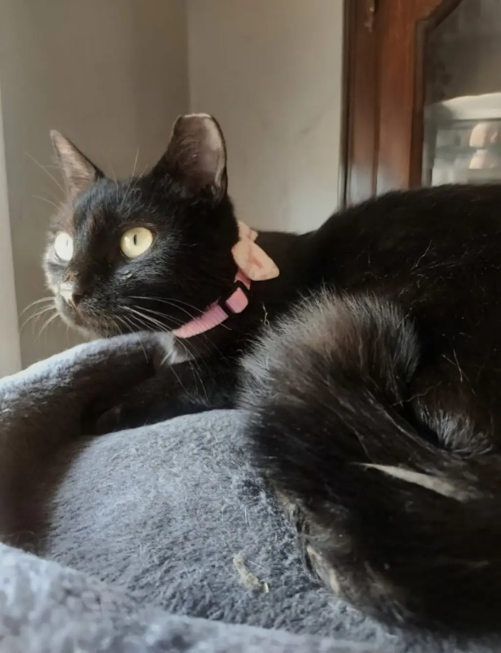 Ebony