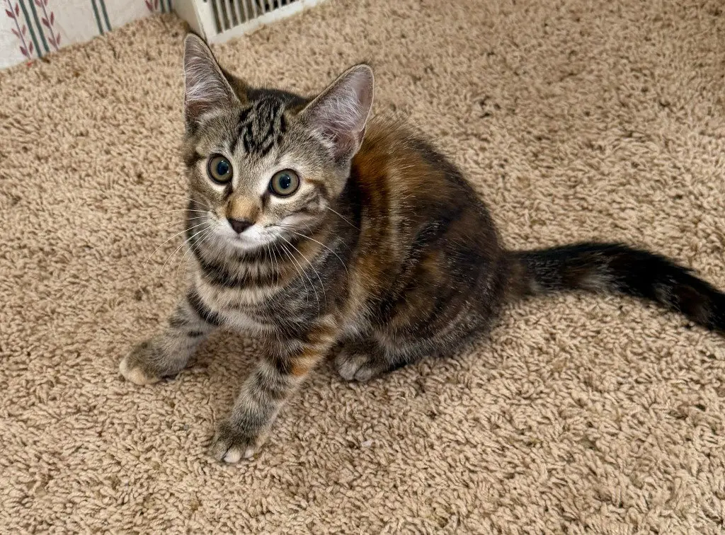 Margo *IN FOSTER*