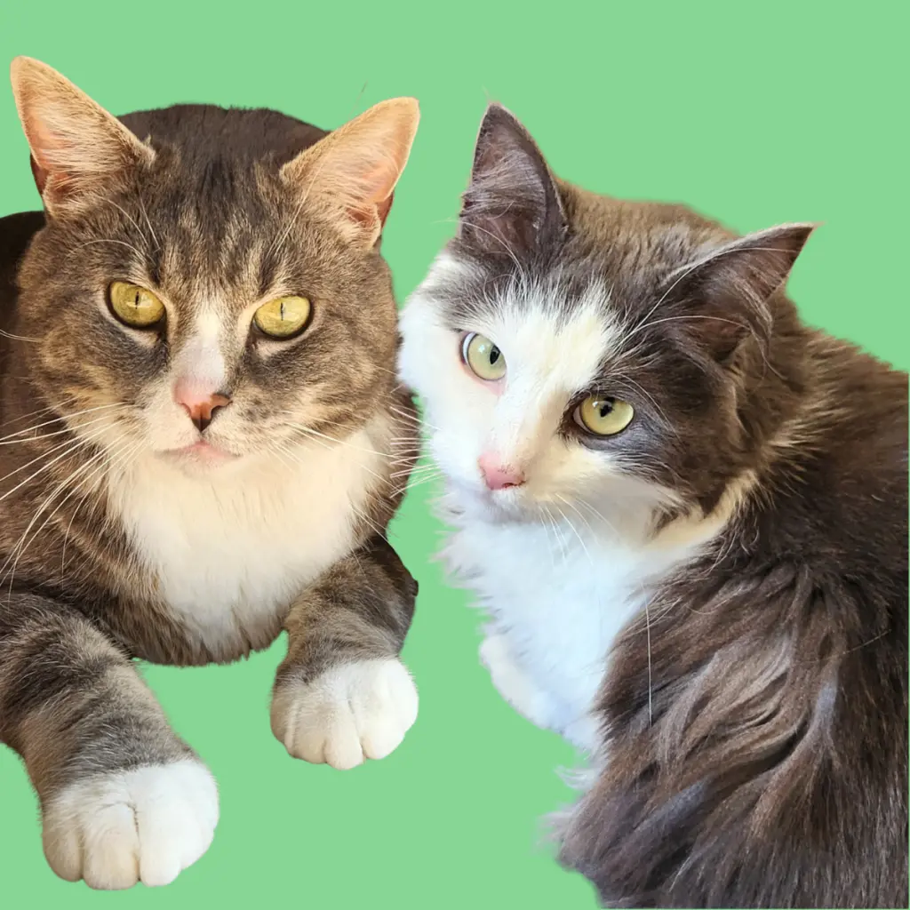 Nala and Simba