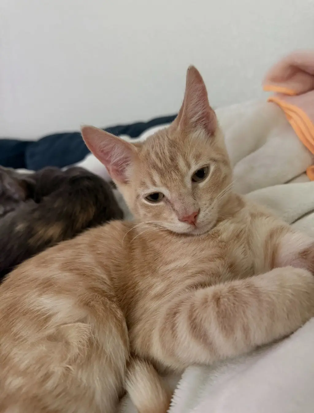 Duncan
