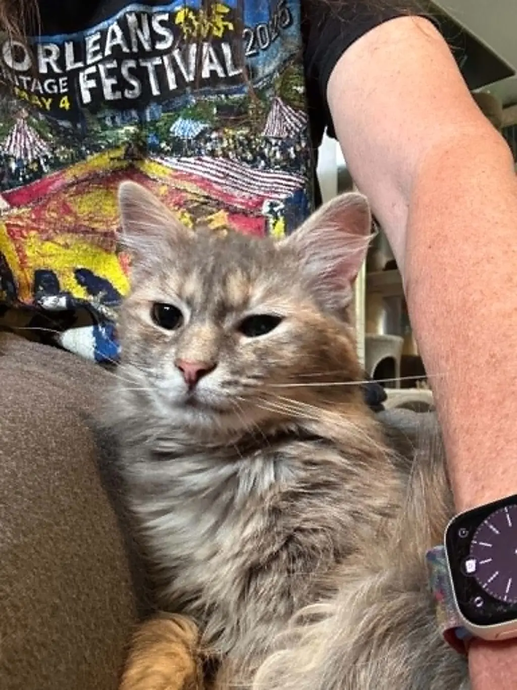 Jolene