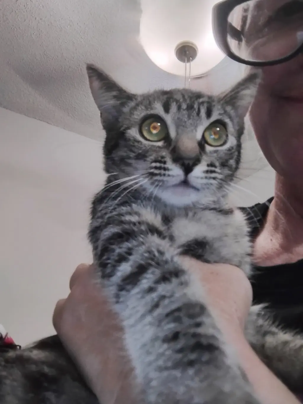 Tilly ( Kat )