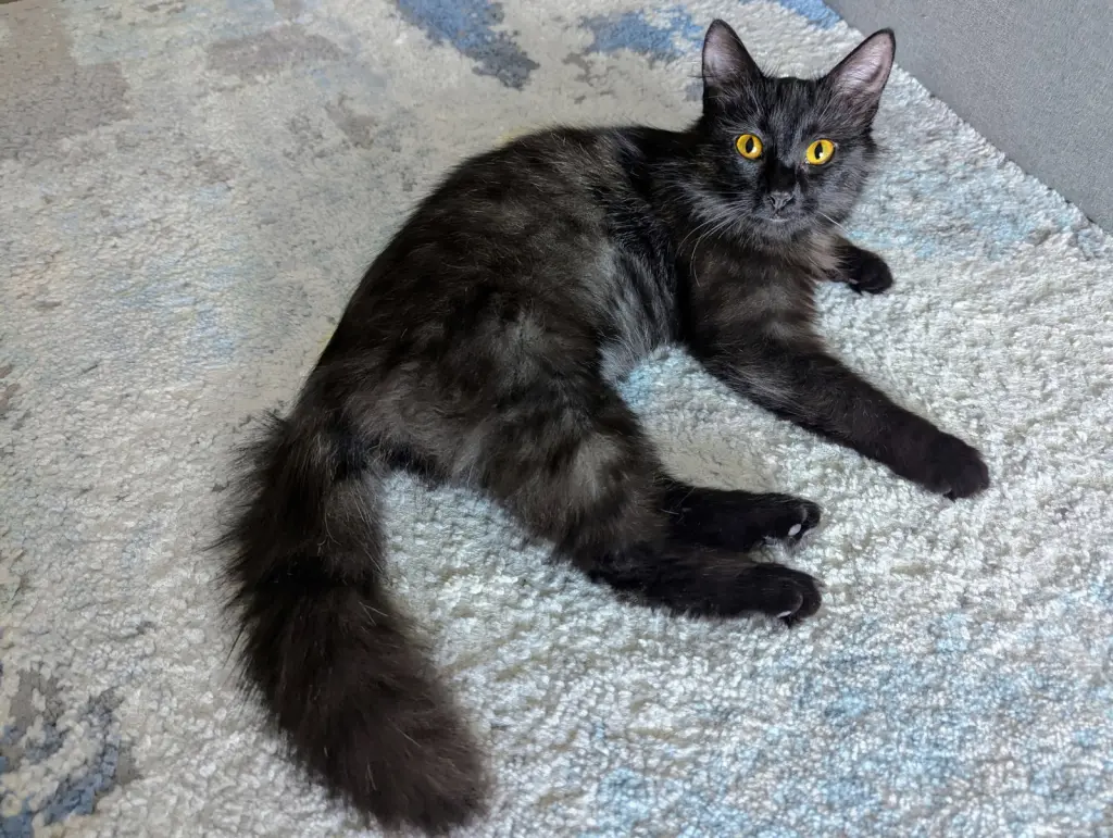 Milly