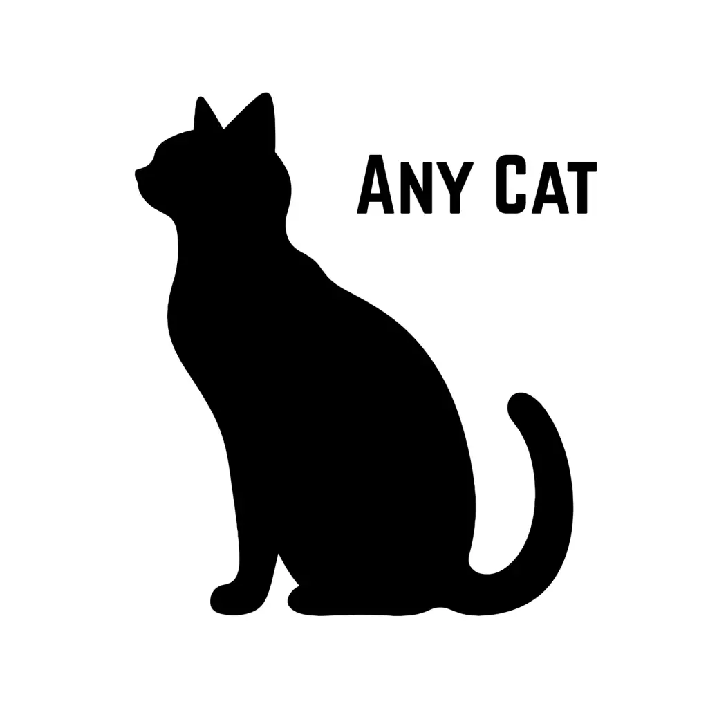 *A Cat 8 Months and Older