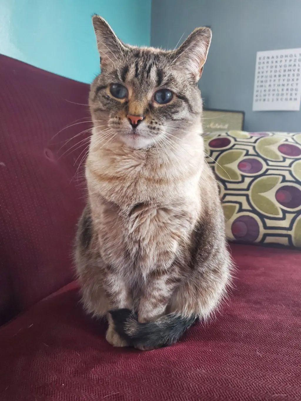 Gatsby *IN FOSTER*