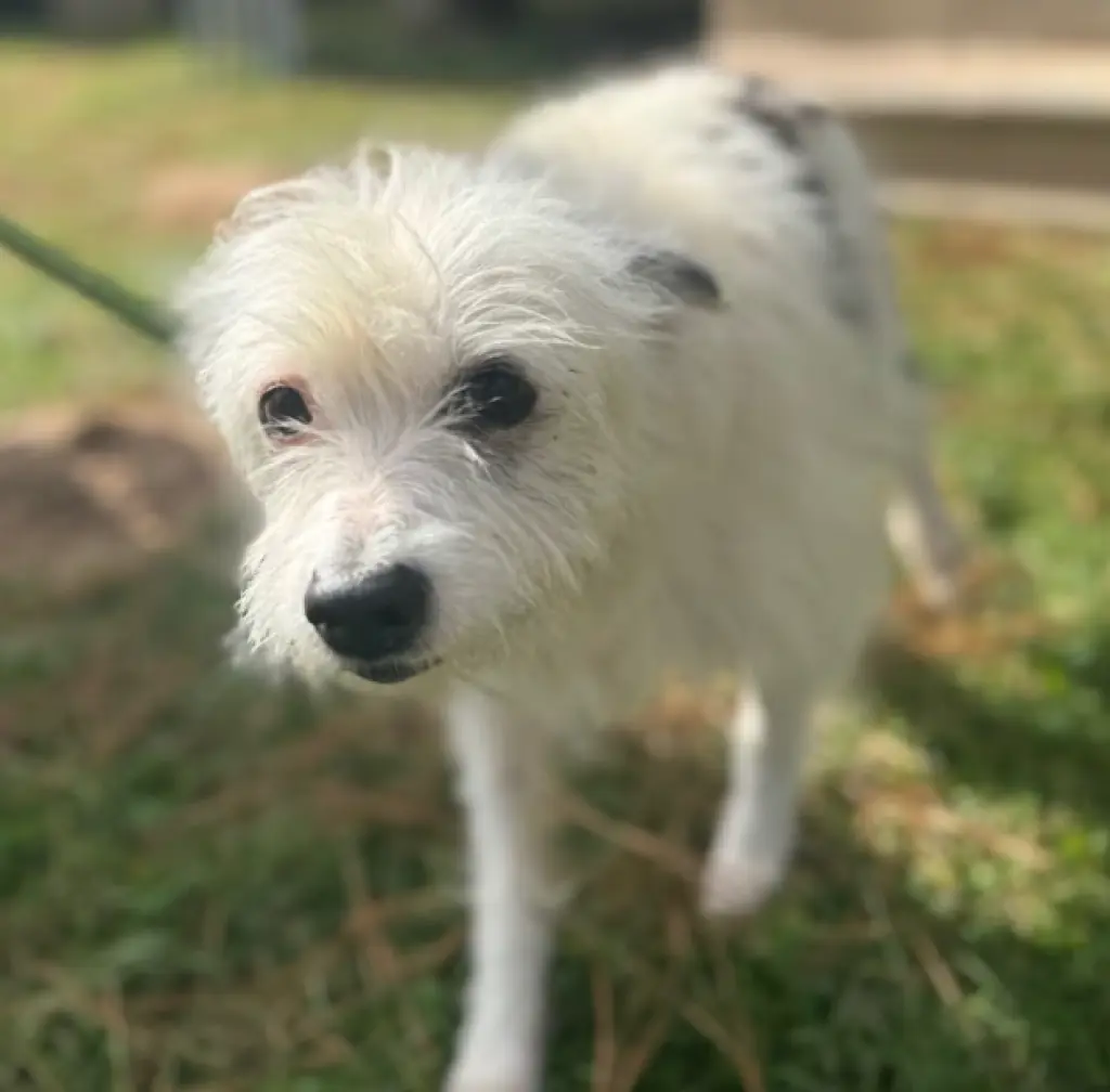 Flora Mae in TX