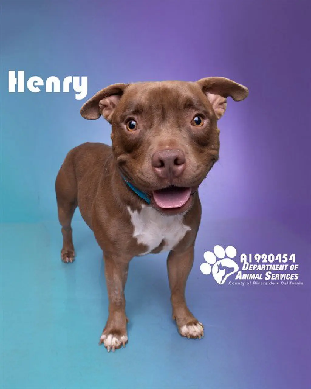 HENRY