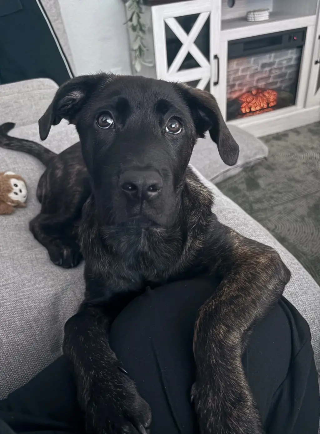 Max