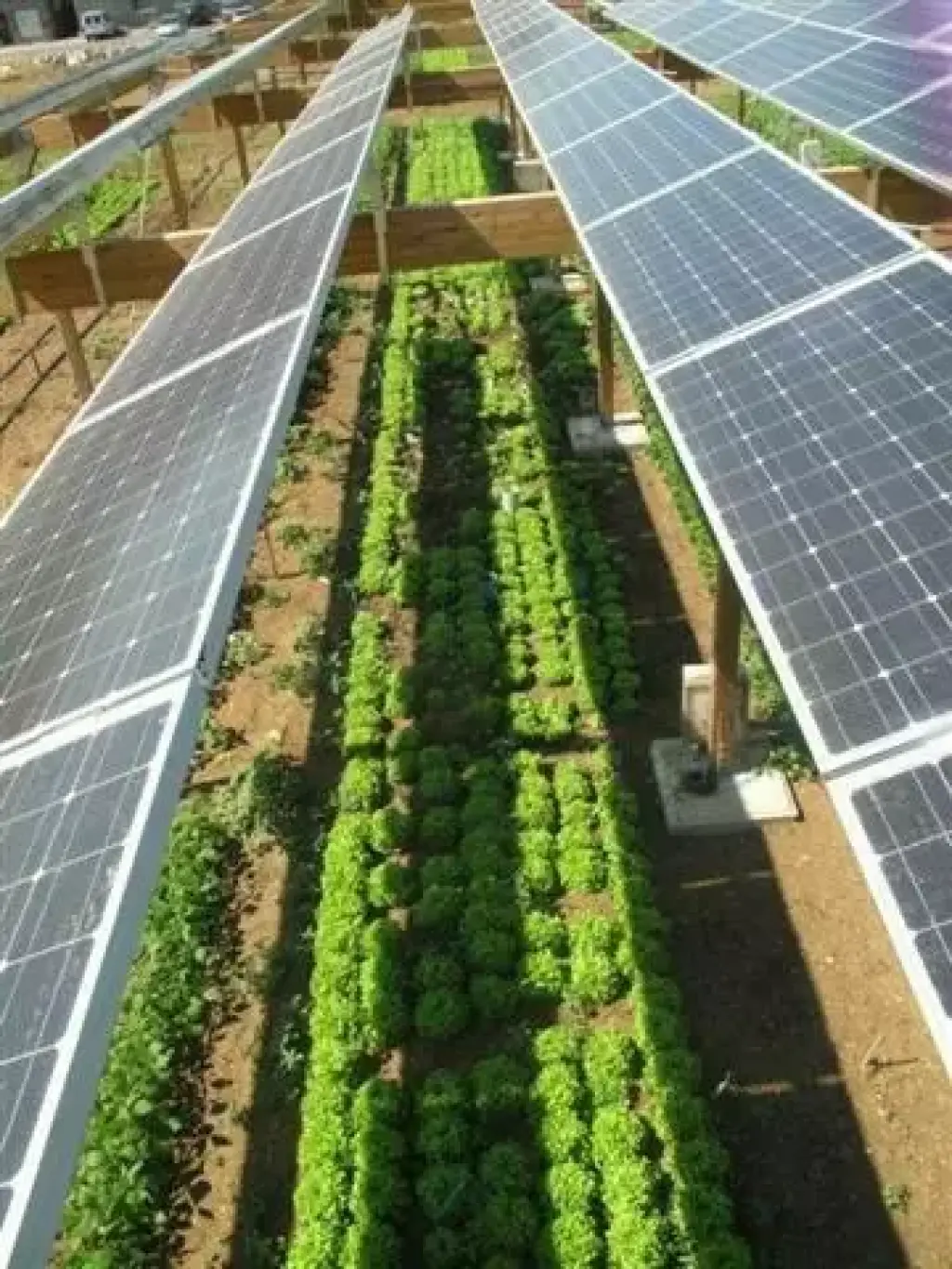 SOLAR PANELS REMOVE & SET BACK