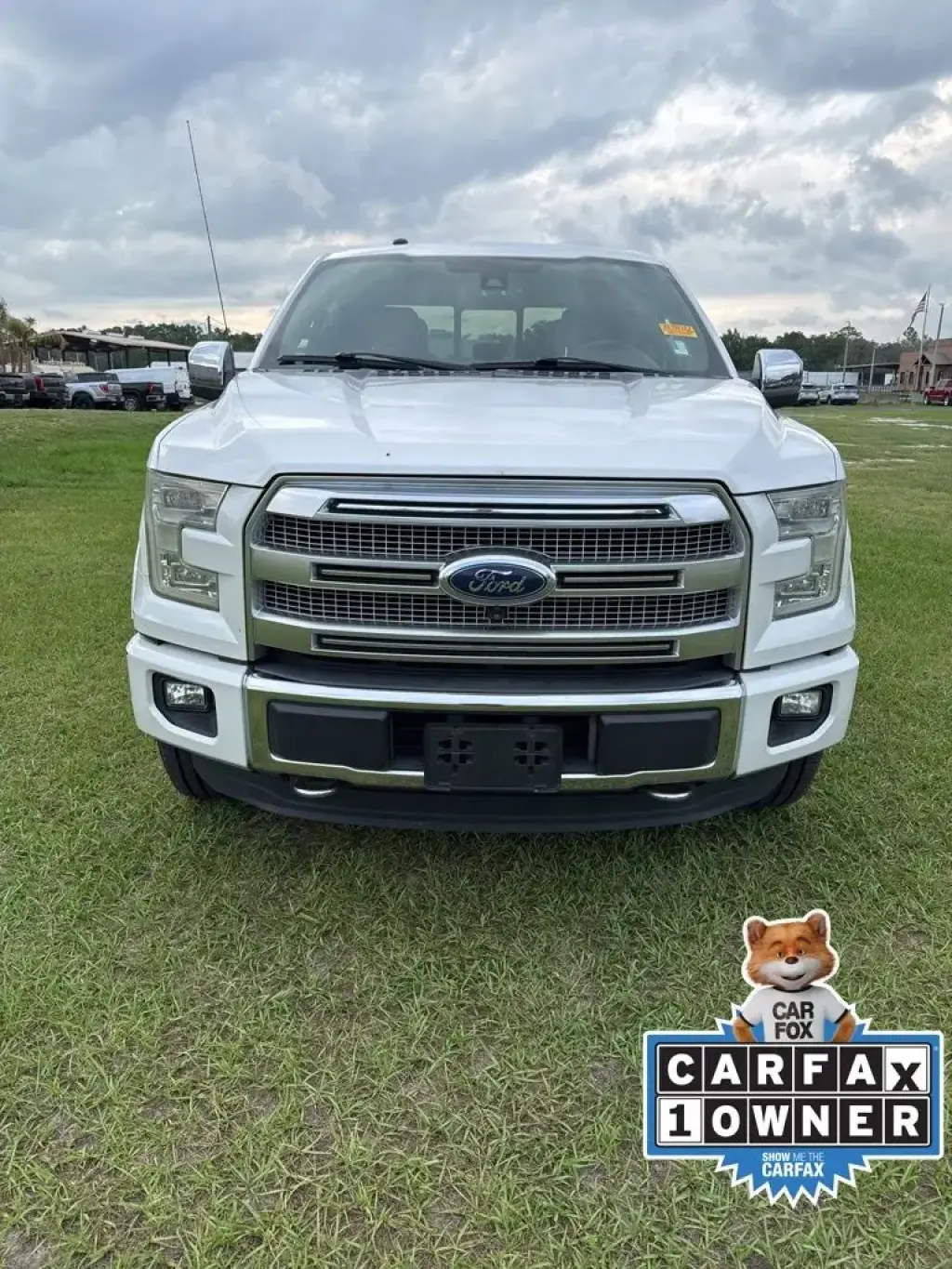 Ford F-150 2016 4x4 Platinum 4dr SuperCrew 5.5 ft. SB