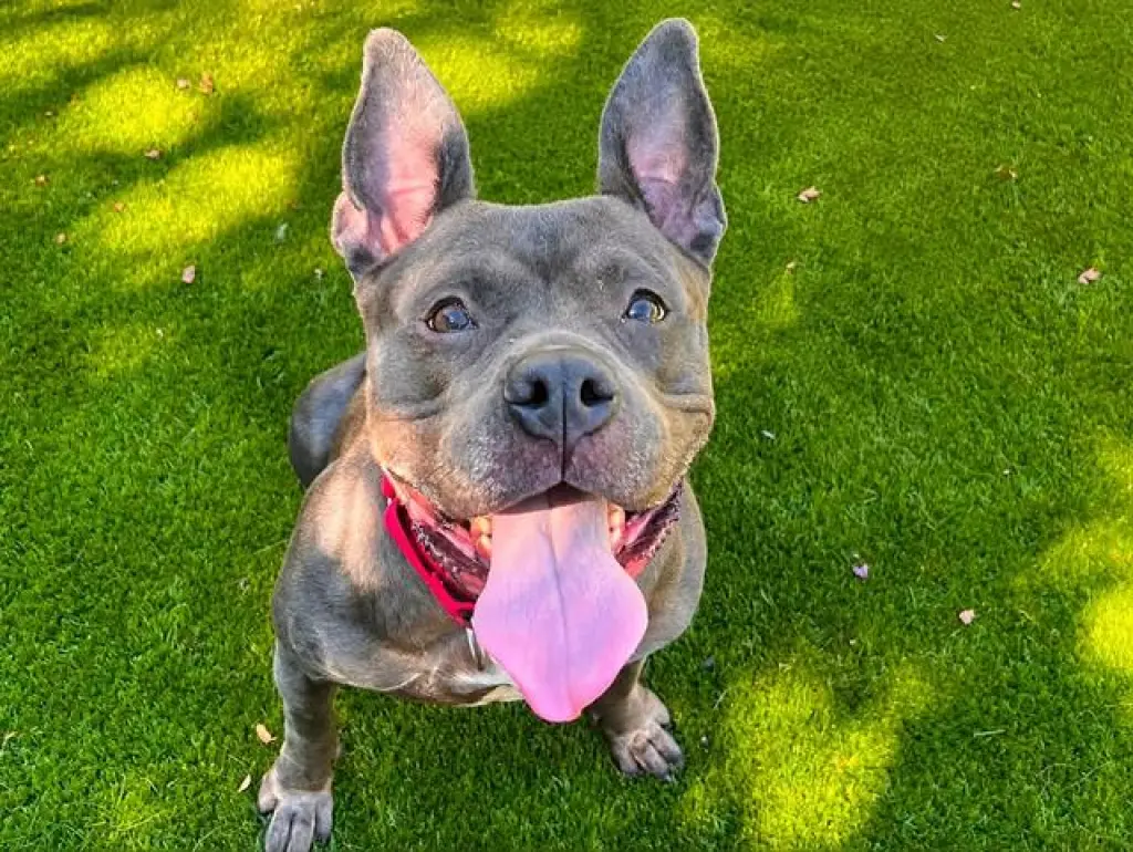 ETTA