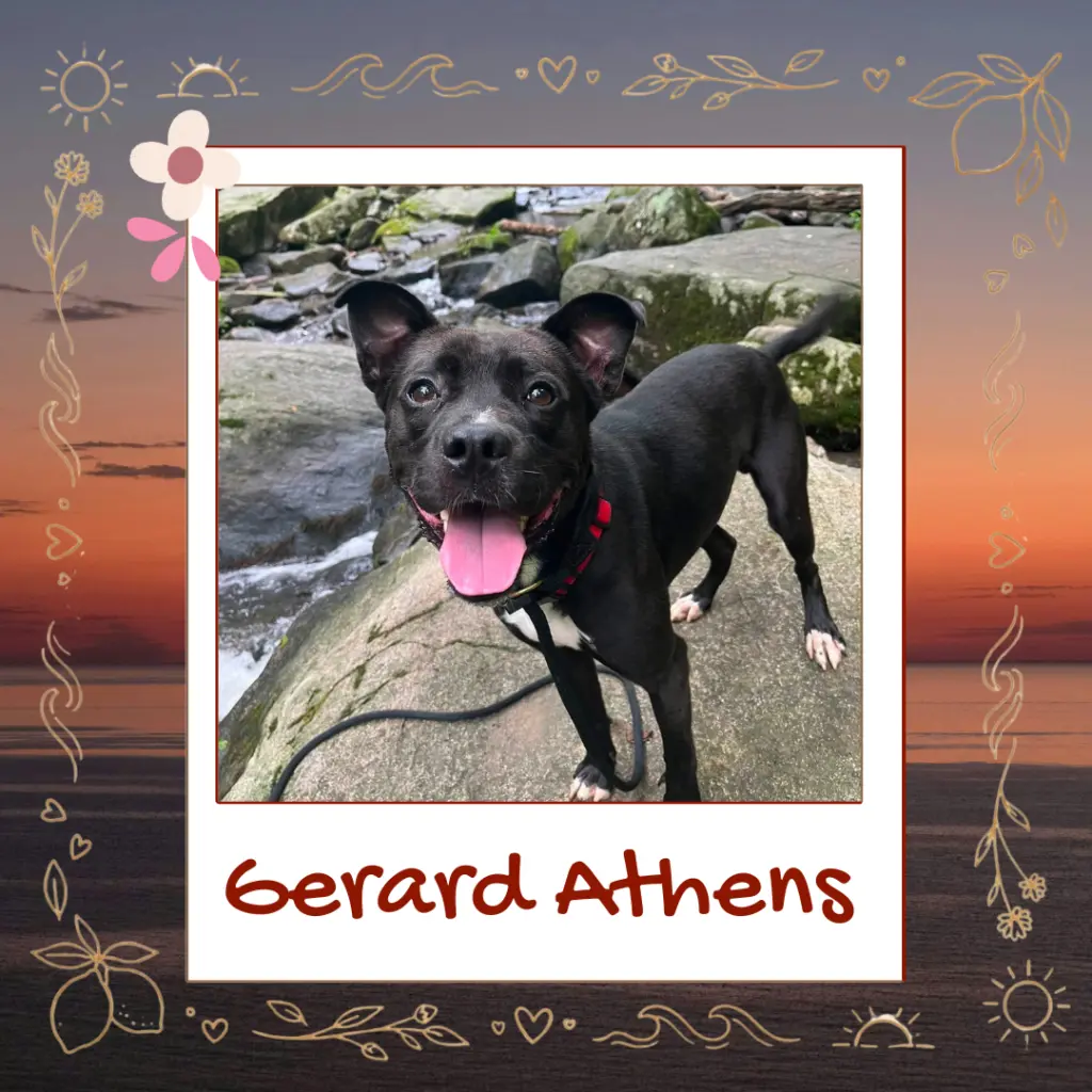 Gerard Athens