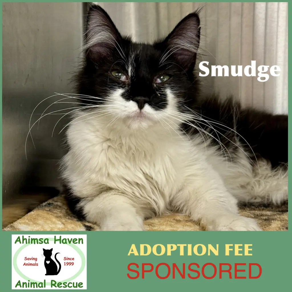 Smudge