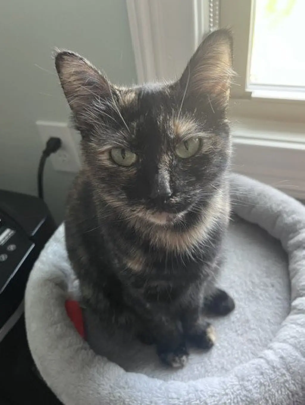 Coco Foster