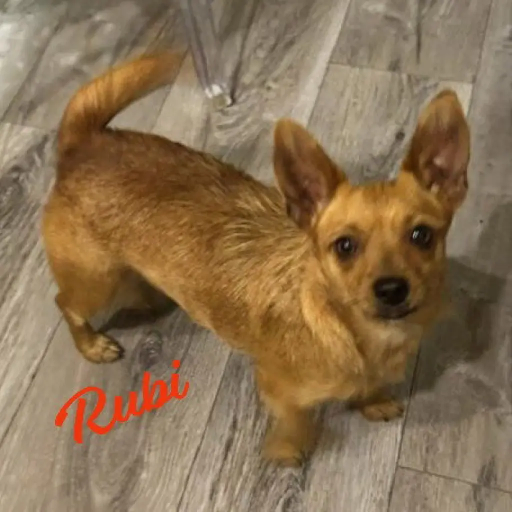 Rubi #bonded-to-Sophie
