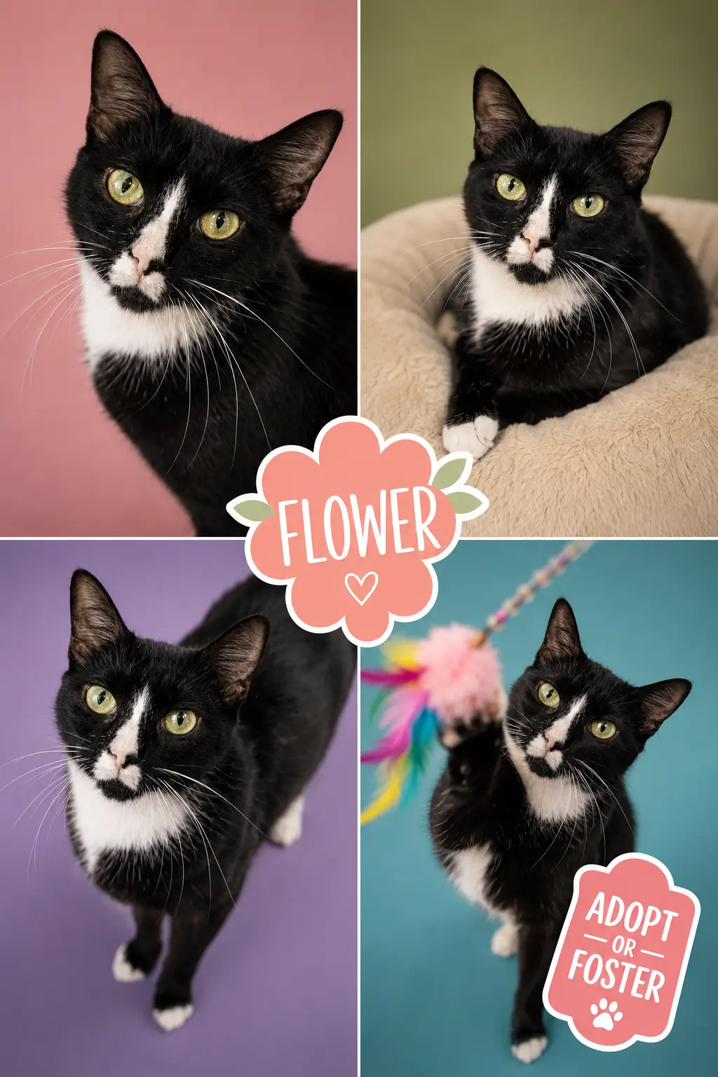 Flower (FCID# 05/26/2026 - 76 Trainer)