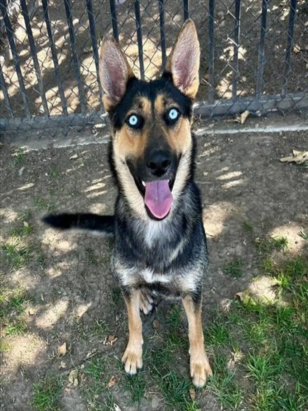 SIERRA