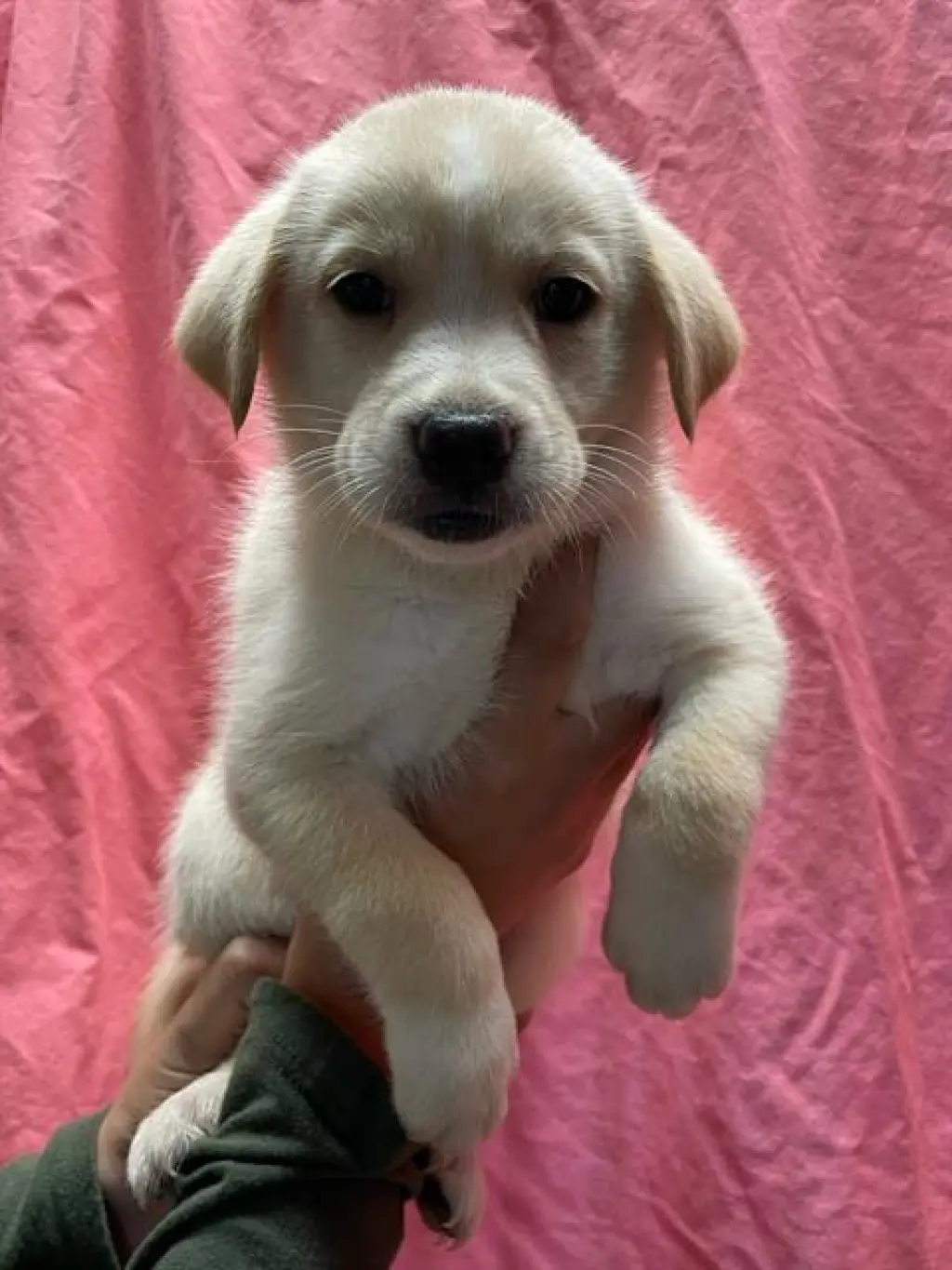 LUNA
