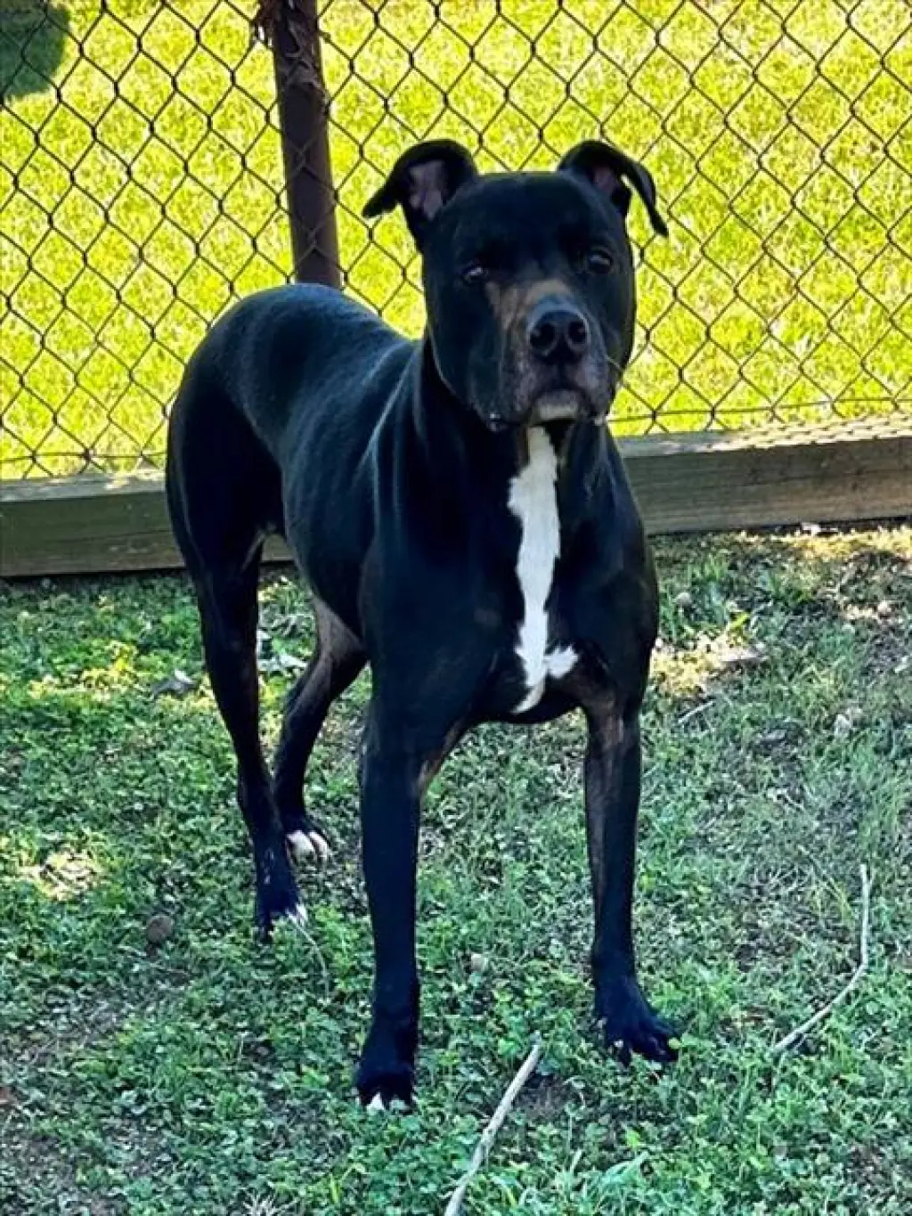 LOKI