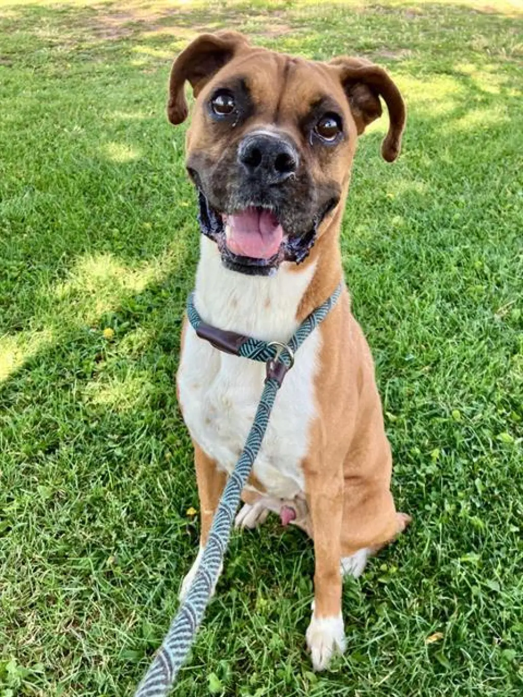CANELO