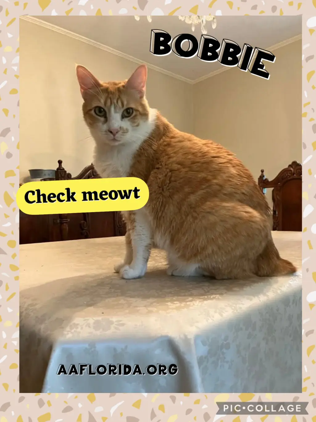 Bobbie