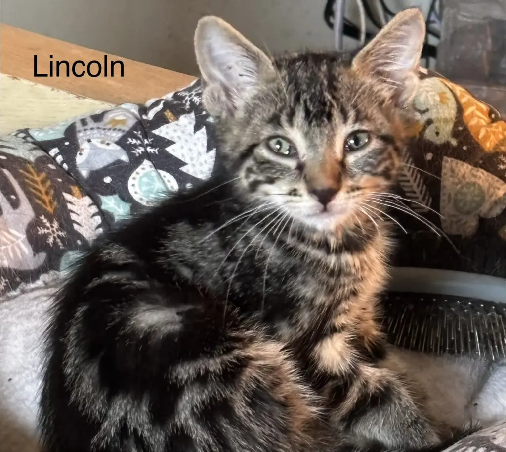 Lincoln