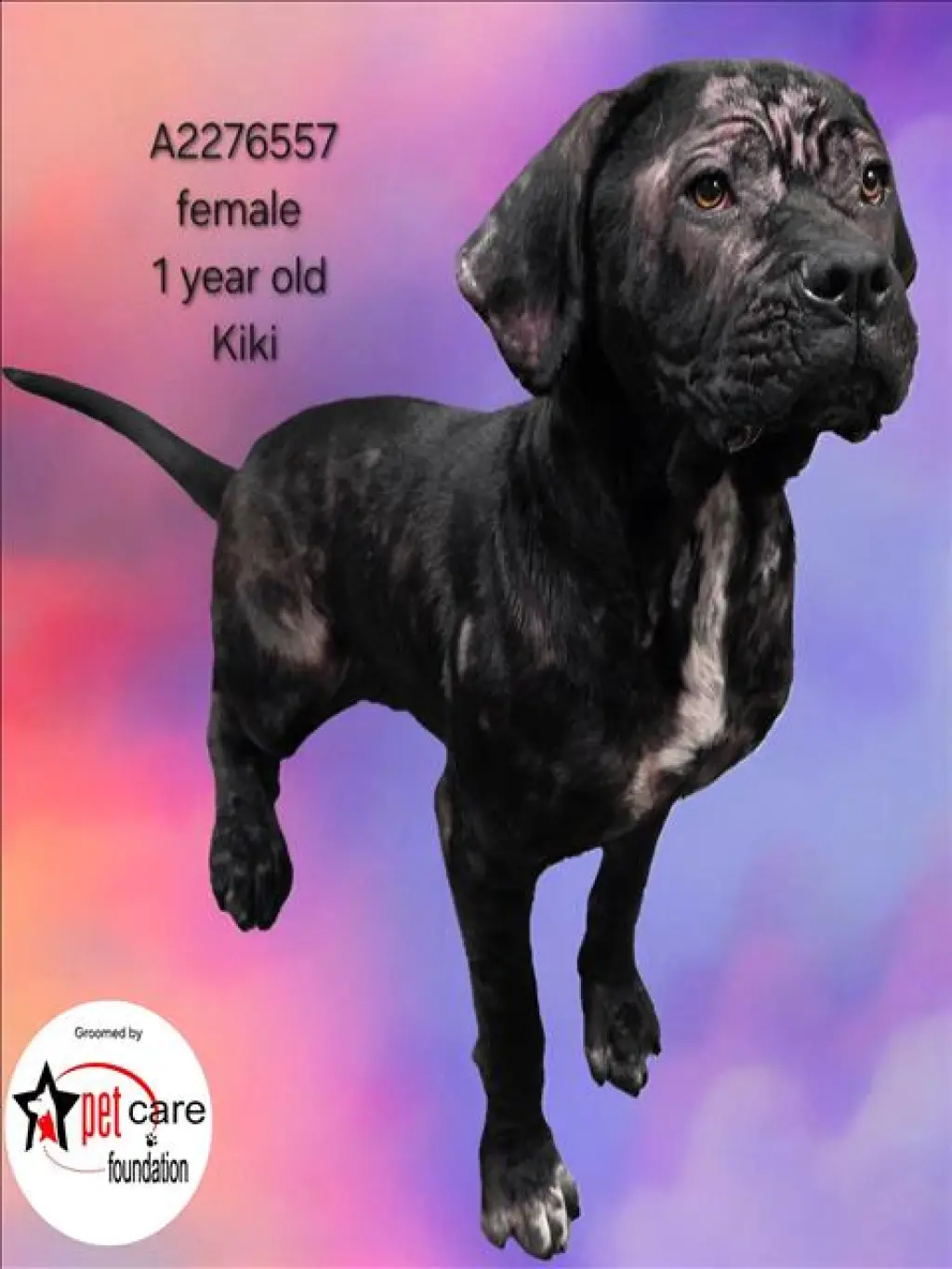 KIKI
