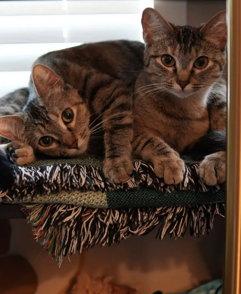 Thelma (and Louise)