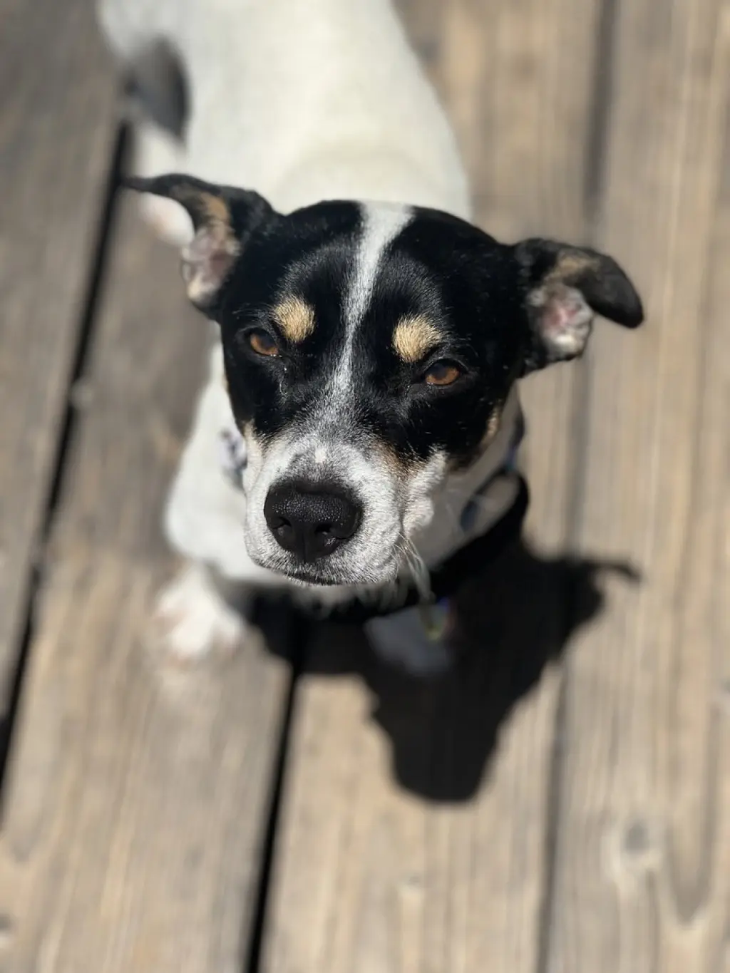 Marco