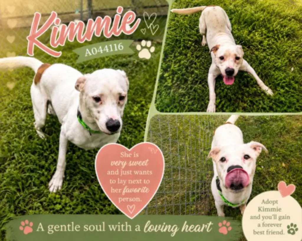 KIMMIE