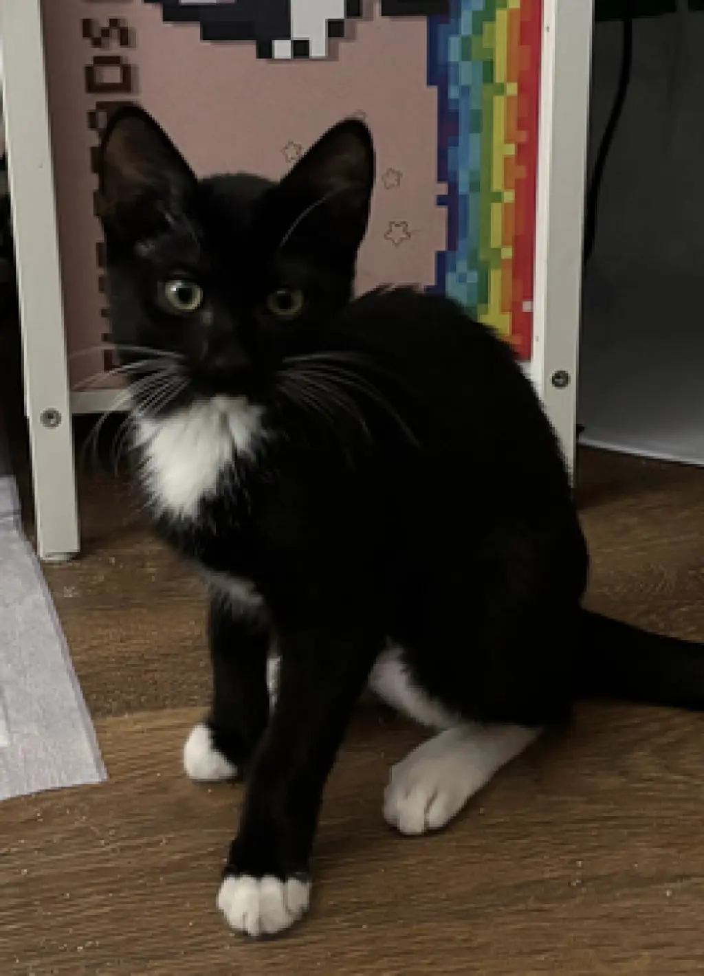 Luna