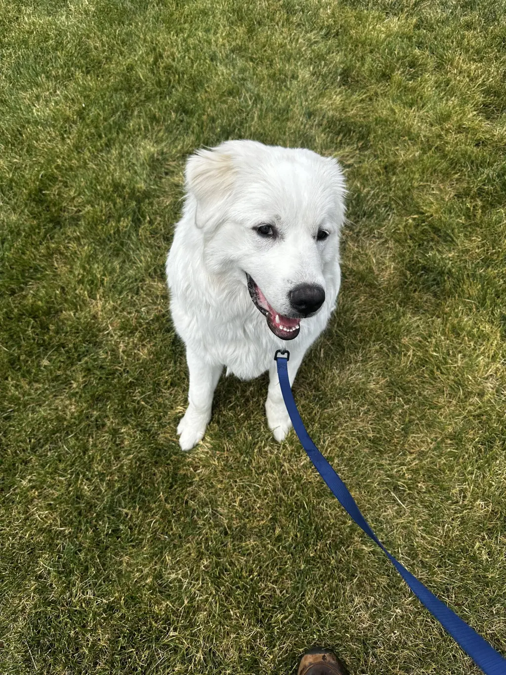Winnie