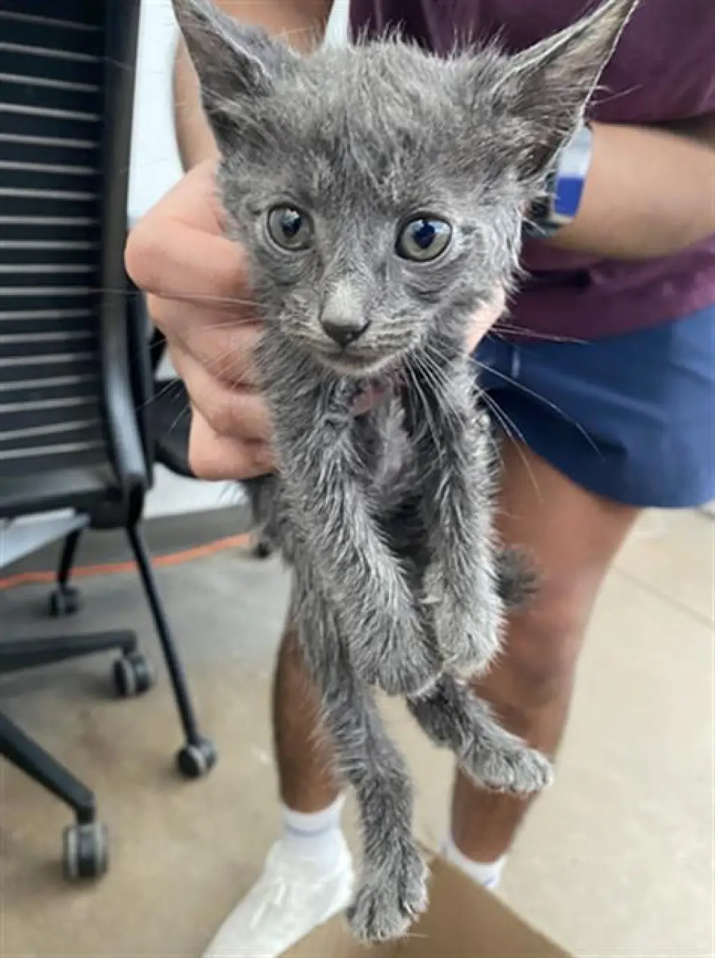 PEPPER