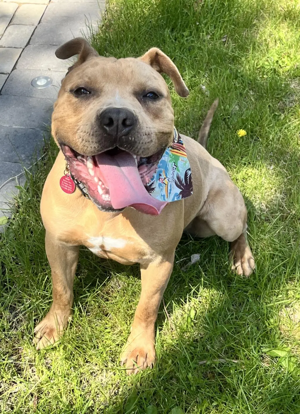 August Aka Auggie