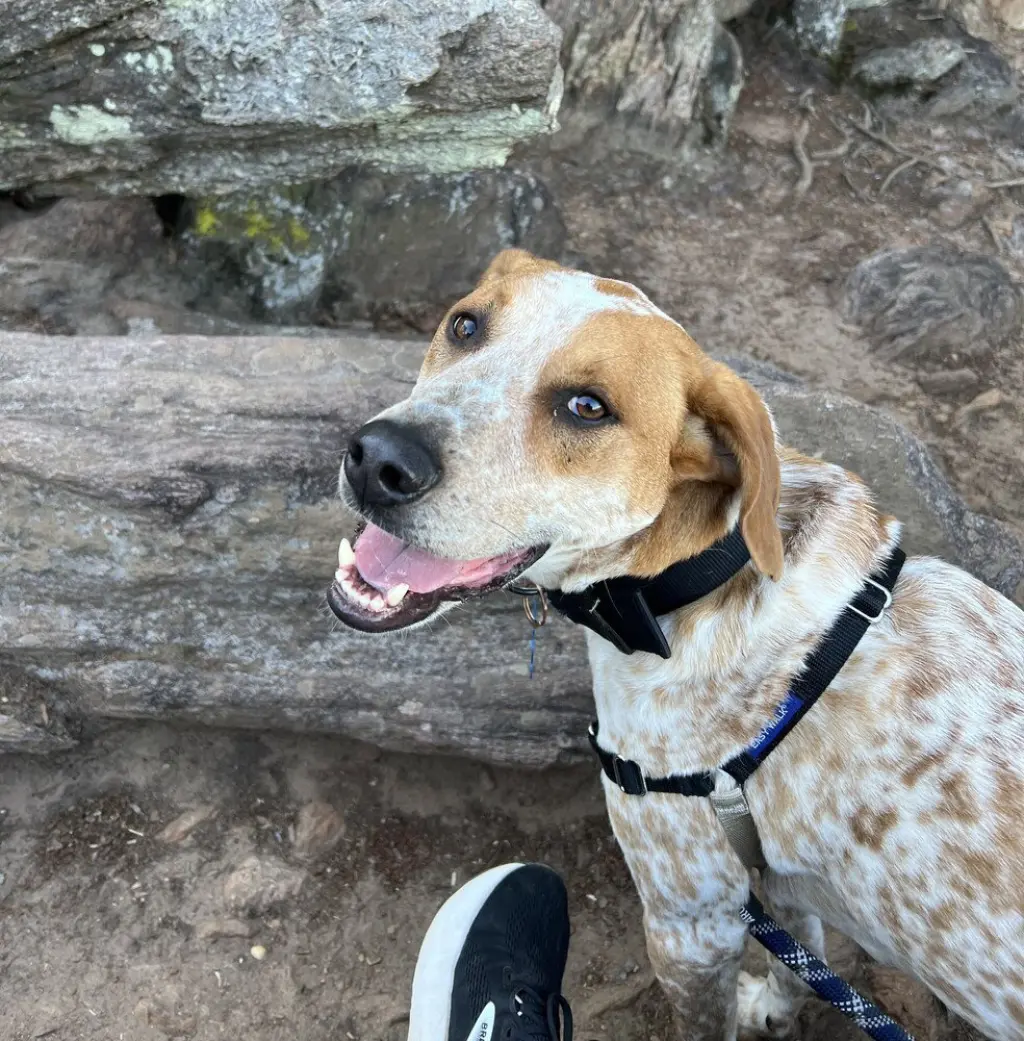 Jax