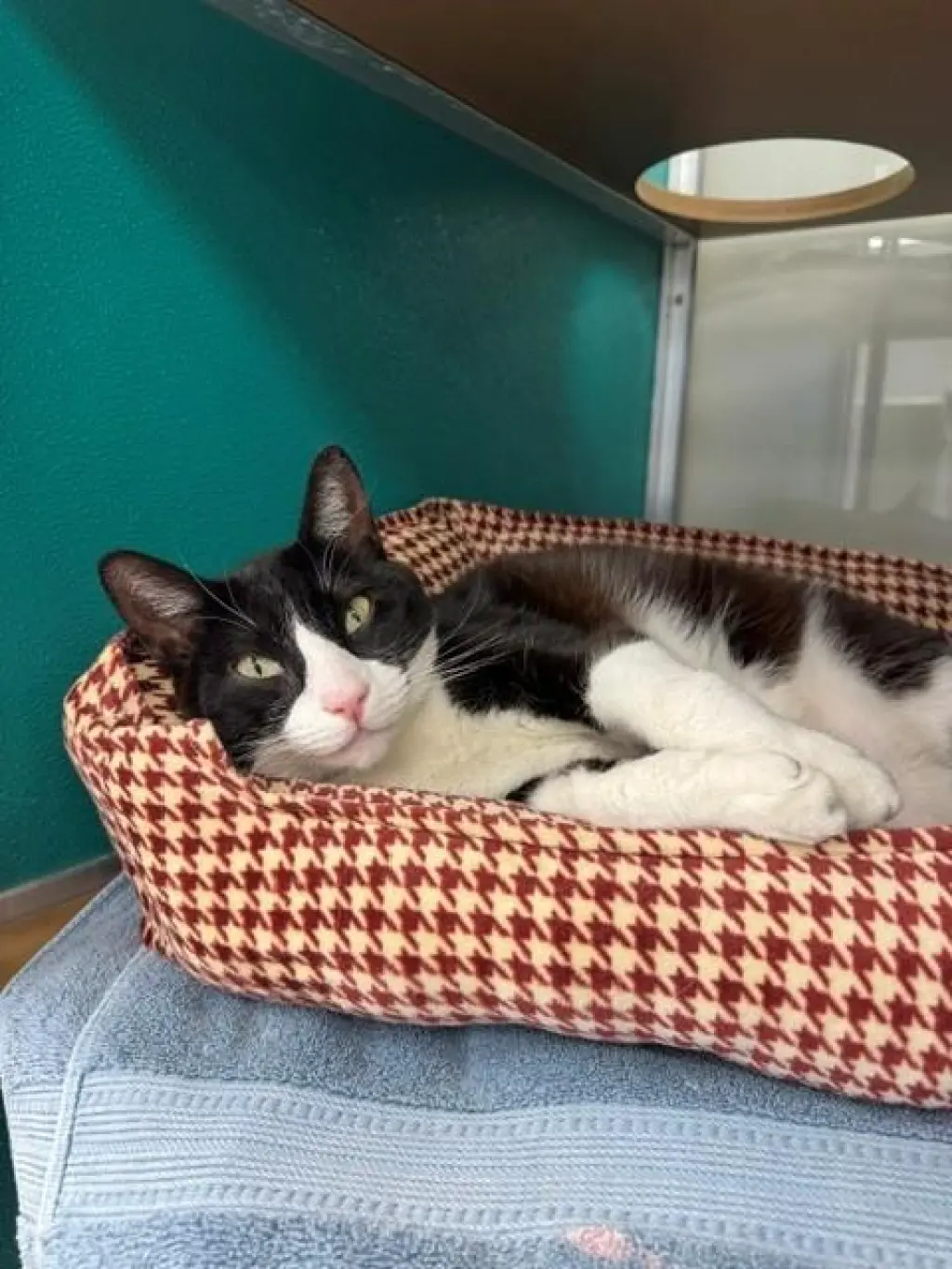 OREO