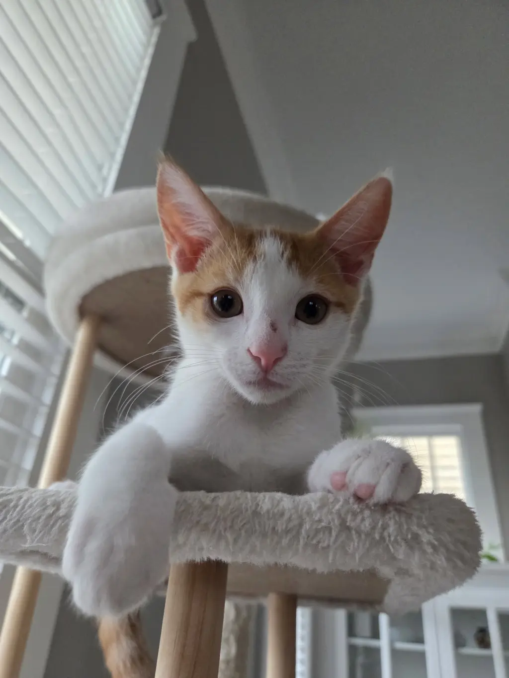Pickles =^.^=