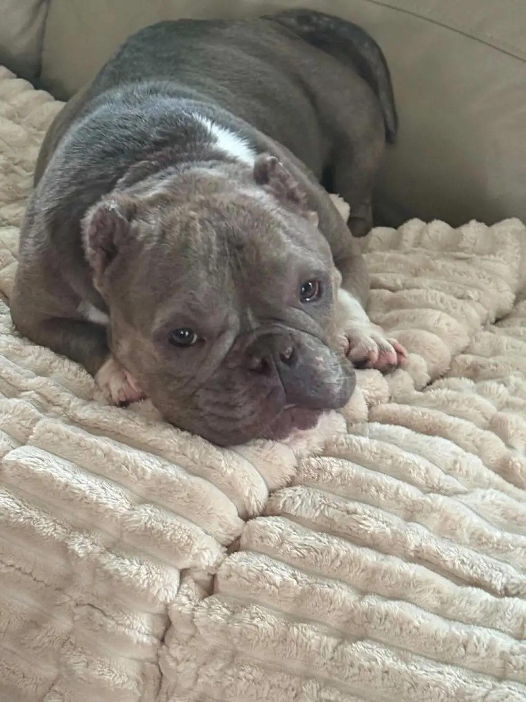 Coco (GA)
