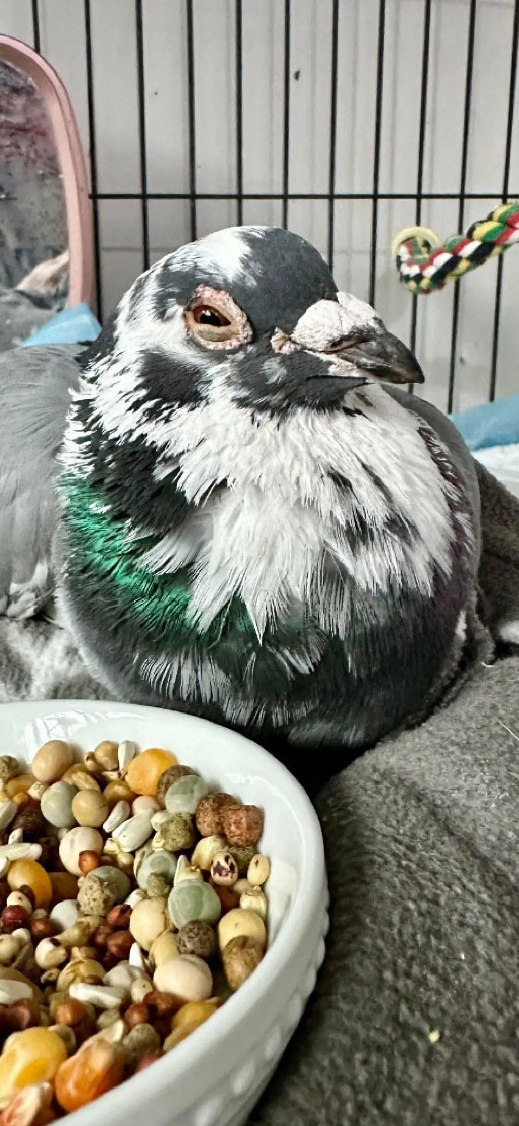 Ben