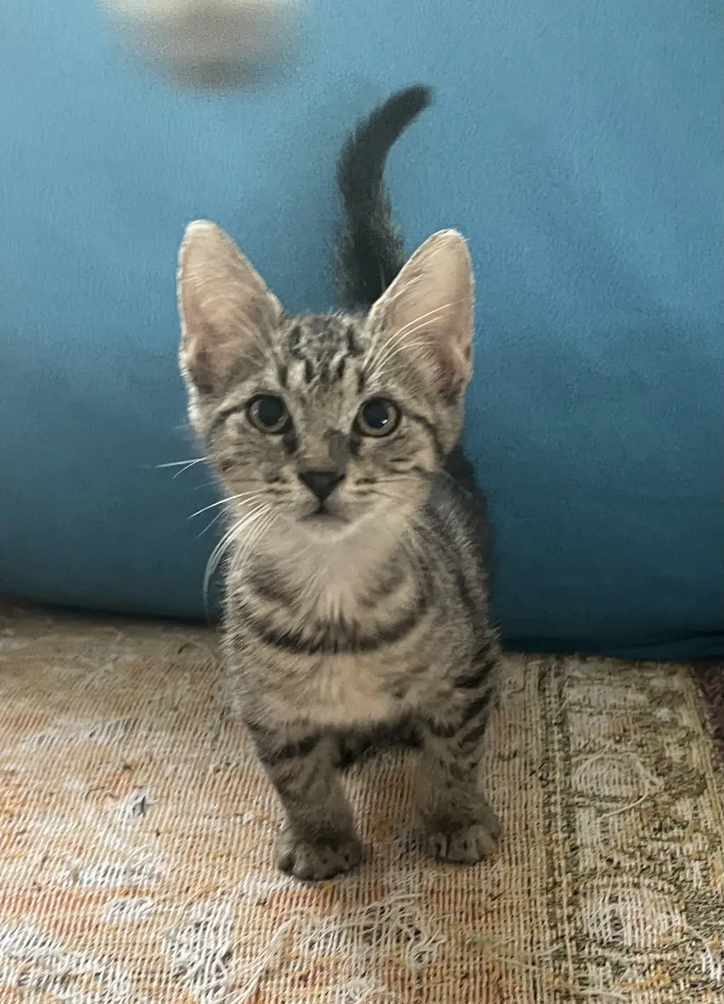 Max